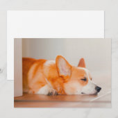 Kutest Baby Animals | Corgi Slaping Bedankkaart (Voorkant / Achterkant)