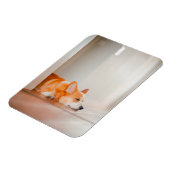 Kutest Baby Animals | Corgi Slaping Magneet (Linkerzijde)