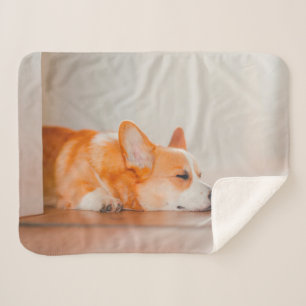 Kutest Baby Animals Corgi Slaping Sherpa Deken