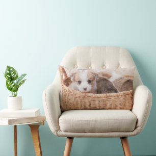 Kutest Baby Animals Corgi Tiny Puppy Kussen