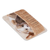 Kutest Baby Animals | Corgi Tiny Puppy Magneet (Rechterzijde)