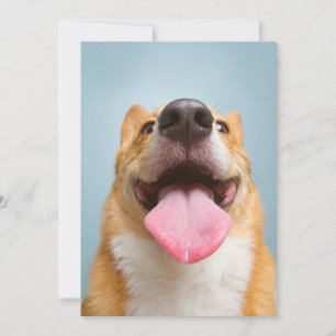 Kutest Baby Animals Corgi Tongue Bedankkaart