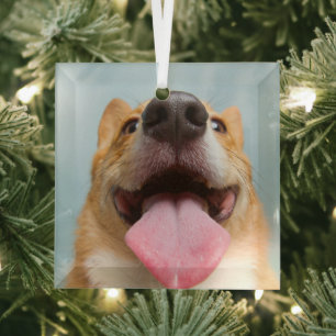 Kutest Baby Animals Corgi Tongue Glas Ornament