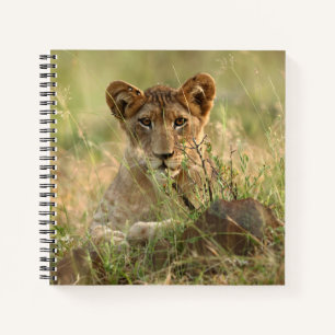Kutest Baby Animals   Cute Baby Lion Cub Notitieboek
