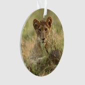Kutest Baby Animals | Cute Baby Lion Cub Ornament (voorkant)