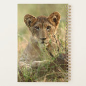 Kutest Baby Animals | Cute Baby Lion Cub Planner (Achterkant)