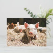 Kutest Baby Animals | Cute Baby Piglet Bedankkaart (Staand voorkant)