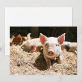 Kutest Baby Animals | Cute Baby Piglet Bedankkaart (Voorkant / Achterkant)