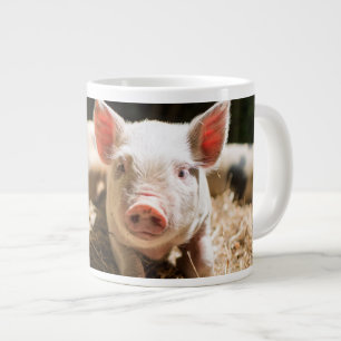 Kutest Baby Animals Cute Baby Piglet Extra Grote Beker