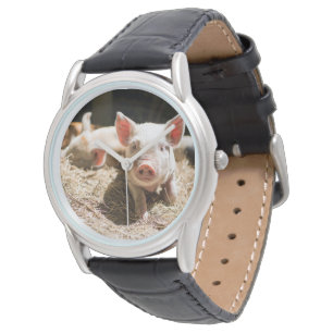 Kutest Baby Animals   Cute Baby Piglet Horloge