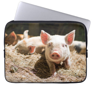 Kutest Baby Animals   Cute Baby Piglet Laptop Sleeve