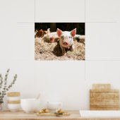 Kutest Baby Animals | Cute Baby Piglet Poster (Keuken)