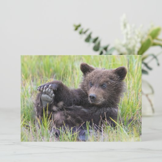 Kutest Baby Animals | Cute Brown Beer Cub-spellen Bedankkaart (Staand voorkant)