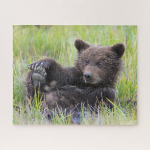 Kutest Baby Animals   Cute Brown Beer Cub-spellen Legpuzzel