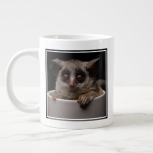 Kutest Baby Animals   Cute Bushbaby Extra Grote Beker