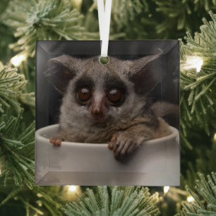 Kutest Baby Animals Cute Bushbaby Glas Ornament