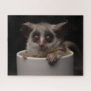 Kutest Baby Animals Cute Bushbaby Legpuzzel