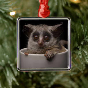 Kutest Baby Animals Cute Bushbaby Metalen Ornament