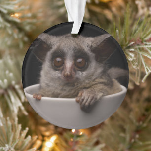 Kutest Baby Animals Cute Bushbaby Ornament