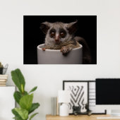 Kutest Baby Animals | Cute Bushbaby Poster (Thuiskantoor)