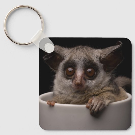 Kutest Baby Animals | Cute Bushbaby Sleutelhanger (Voorkant)