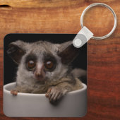 Kutest Baby Animals | Cute Bushbaby Sleutelhanger (Achterkant)