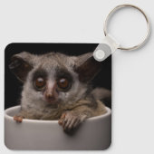 Kutest Baby Animals | Cute Bushbaby Sleutelhanger (Achterkant)