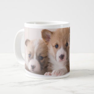 Kutest Baby Animals Cute Corgi-Puppies in een ha Extra Grote Beker
