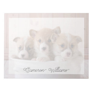 Kutest Baby Animals   Cute Corgi-Puppies in een ha Notitieblok