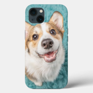 Kutest Baby Animals Cute Corgi Puppy Smile iPhone 13 Hoesje