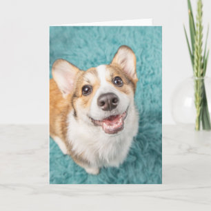 Kutest Baby Animals   Cute Corgi Puppy Smile Kaart