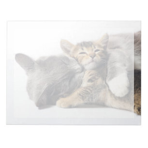 Kutest Baby Animals Cute Kitten Hug Notitieblok