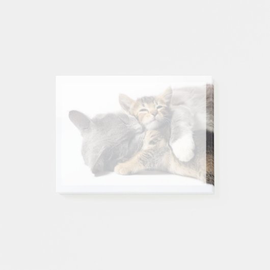Kutest Baby Animals | Cute Kitten Hug Post-it® Notes (Voorkant)
