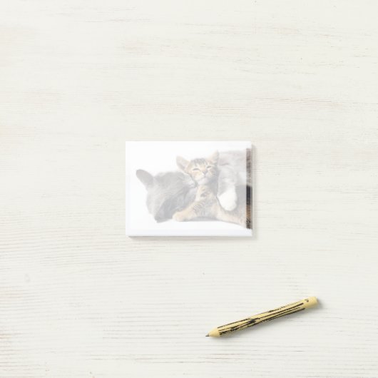 Kutest Baby Animals | Cute Kitten Hug Post-it® Notes (Op bureau)