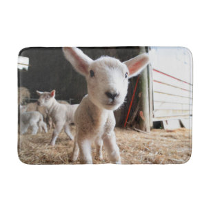 Kutest Baby Animals Cute Lamb in een Boerderij Badmat