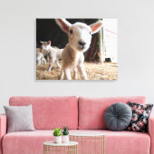 Kutest Baby Animals | Cute Lamb in een Boerderij Canvas Afdruk (Insitu (Woonkamer))