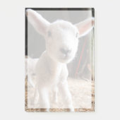 Kutest Baby Animals | Cute Lamb in een Boerderij Post-it® Notes (Voorkant)