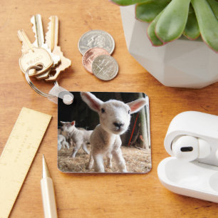 Kutest Baby Animals Cute Lamb in een Boerderij Sleutelhanger