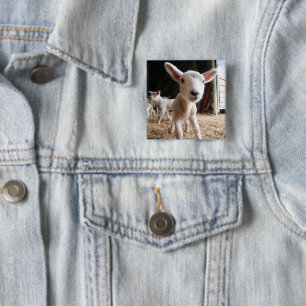 Kutest Baby Animals Cute Lamb in een Boerderij Vierkante Button 5,1 Cm