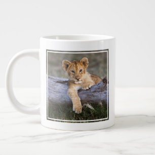 Kutest Baby Animals   Cute Lion Cub Extra Grote Beker