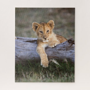 Kutest Baby Animals   Cute Lion Cub Legpuzzel