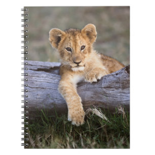 Kutest Baby Animals Cute Lion Cub Notitieboek