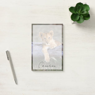 Kutest Baby Animals   Cute Lion Cub Post-it® Notes