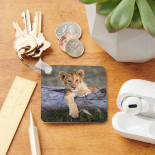 Kutest Baby Animals   Cute Lion Cub Sleutelhanger