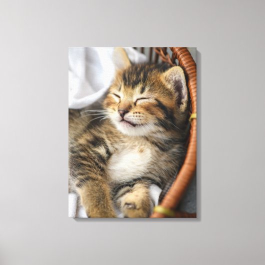 Kutest Baby Animals | Cute Tabby Cat Slaping Canvas Afdruk (Voorkant)