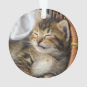 Kutest Baby Animals | Cute Tabby Cat Slaping Ornament (achterkant)