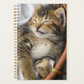 Kutest Baby Animals | Cute Tabby Cat Slaping Planner (Voorkant)