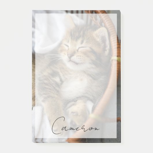 Kutest Baby Animals | Cute Tabby Cat Slaping Post-it® Notes (Voorkant)