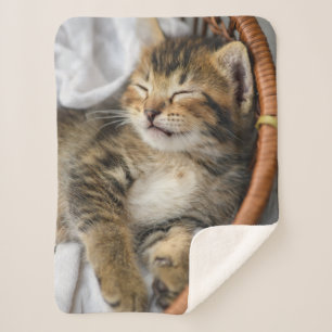 Kutest Baby Animals Cute Tabby Cat Slaping Sherpa Deken