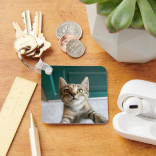 Kutest Baby Animals Cute Tabby Kitten Sleutelhanger